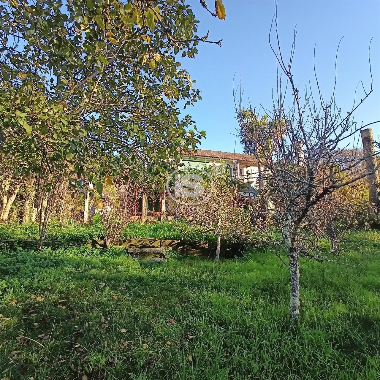 Foto 10 CASA GALLEGA DE MEDIADOS SIGLO XX,  EN ZONA RURAL 